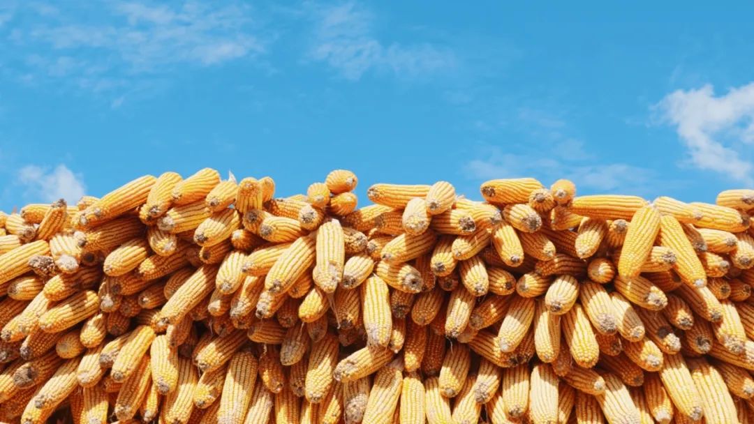 晋宁 诗意的栖居地