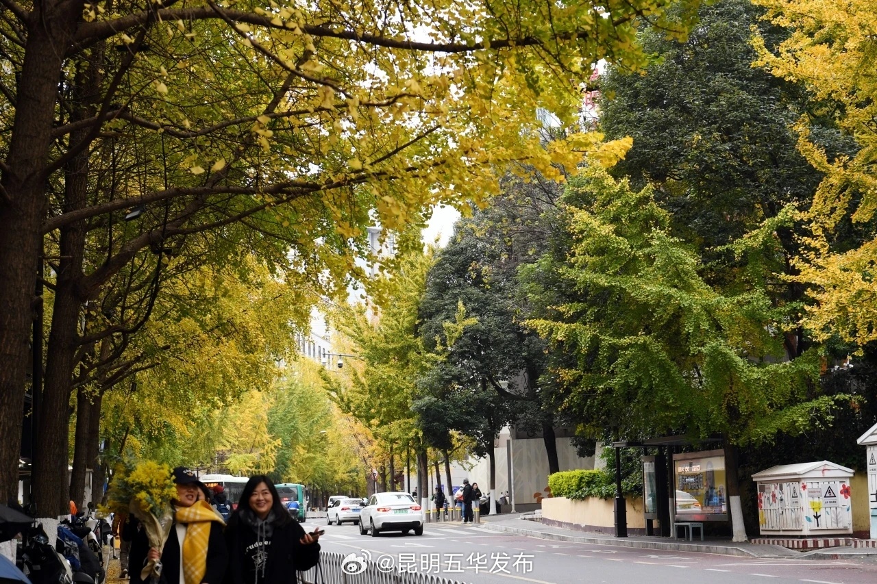 昆明五华发布