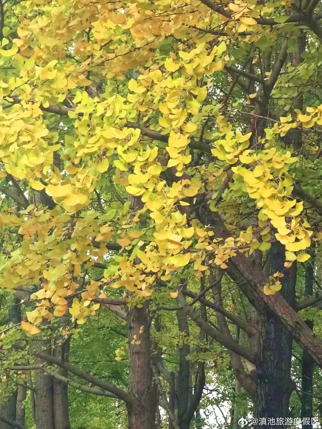 滇池旅游度假区