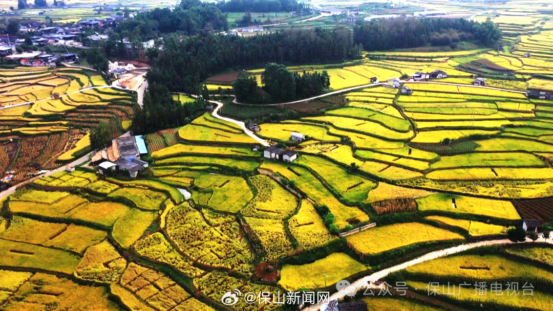 2024年前三季度保山市农业生产运行平稳 高原特色农业增势良好