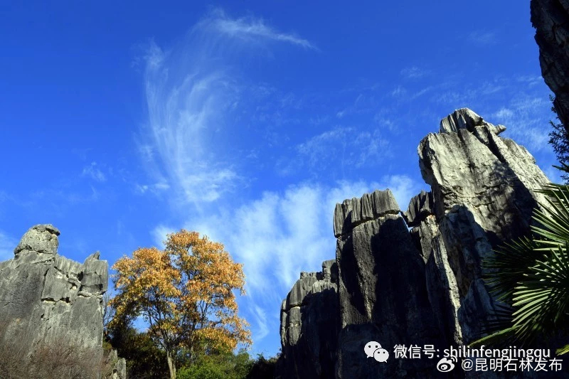 昆明石林发布