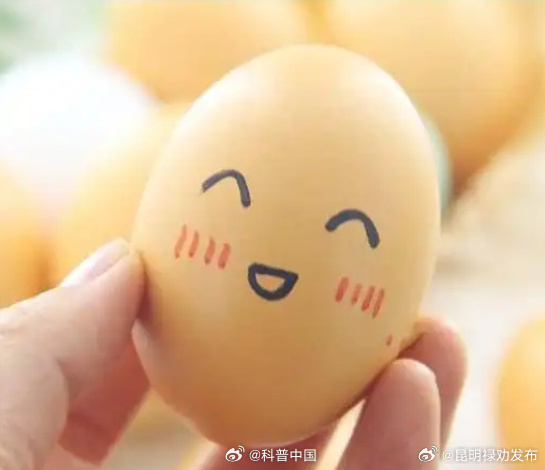 鸡蛋很难剥是因为新鲜