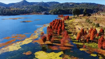 昆明市西山区发布