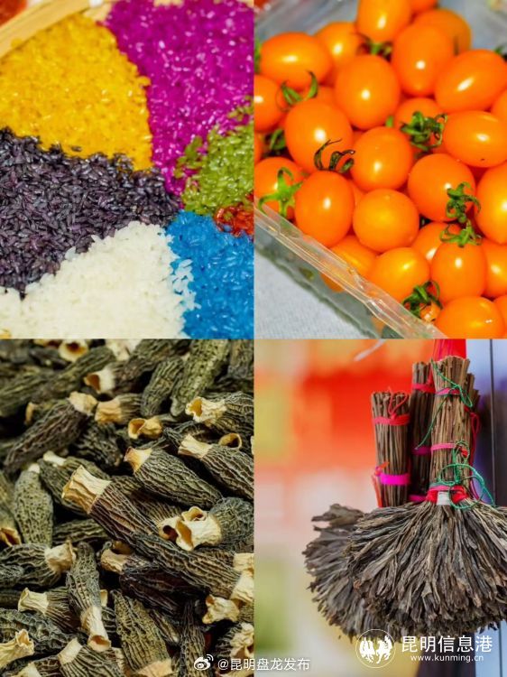 “云品出滇” 更“出圈” 云南省“绿色云品”将亮相厦门