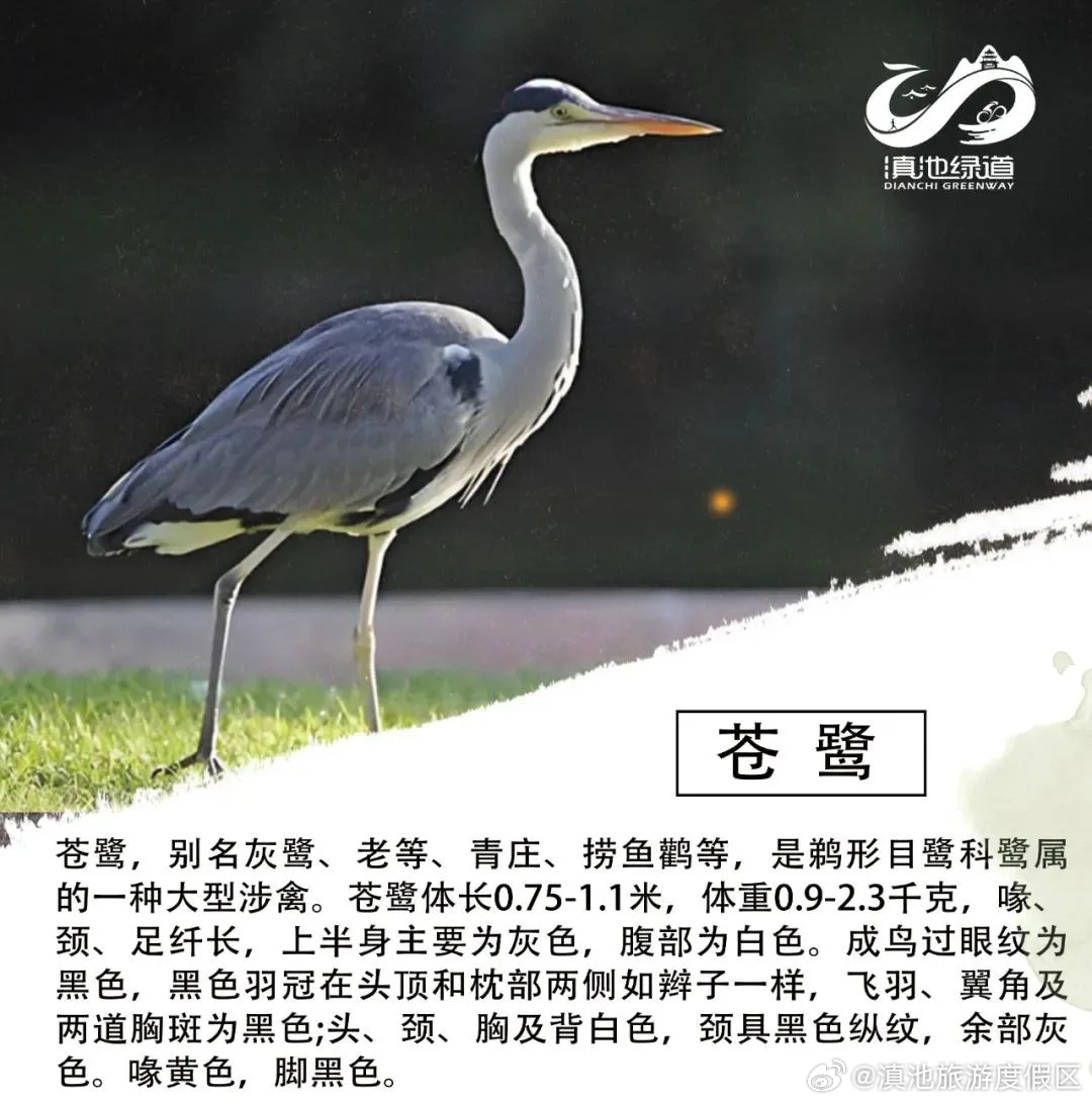 滇池旅游度假区