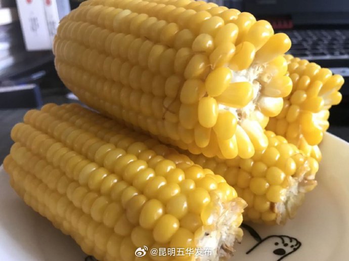 糯玉米居然比甜玉米热量高 