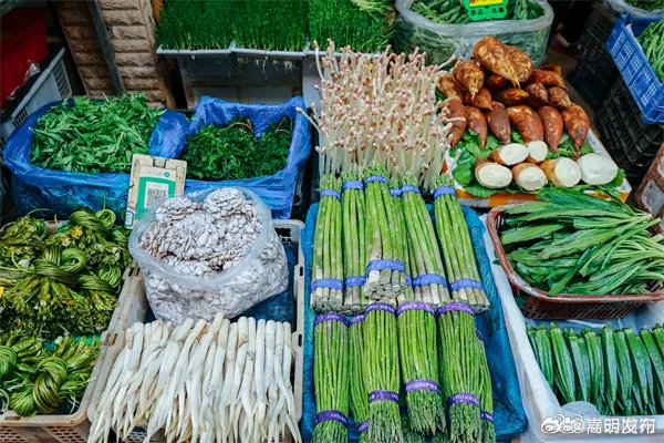 卖到120元/公斤！云南🥬🥑🥭真的很牛