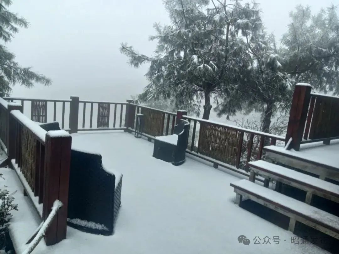 8099999街头巷尾微信