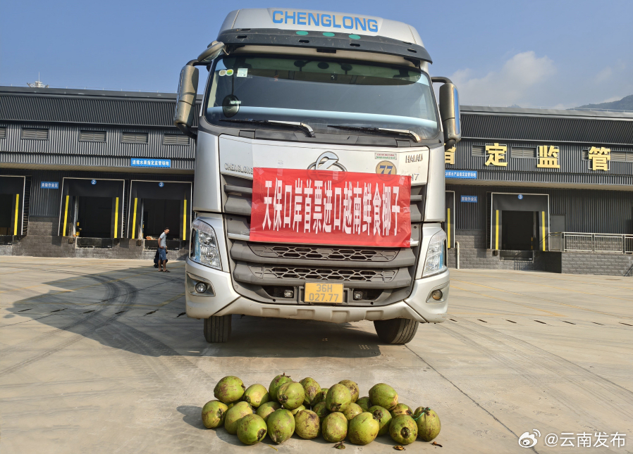 天保口岸首票进口越南鲜食椰子顺利通关