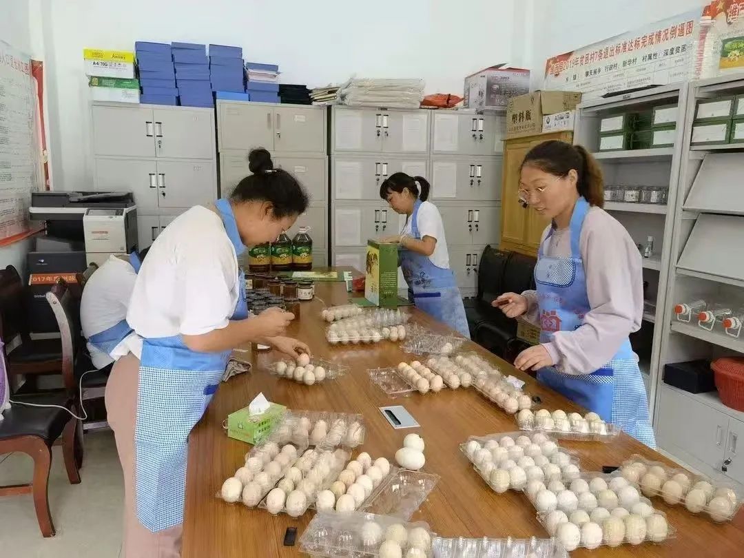 云南迪庆先锋