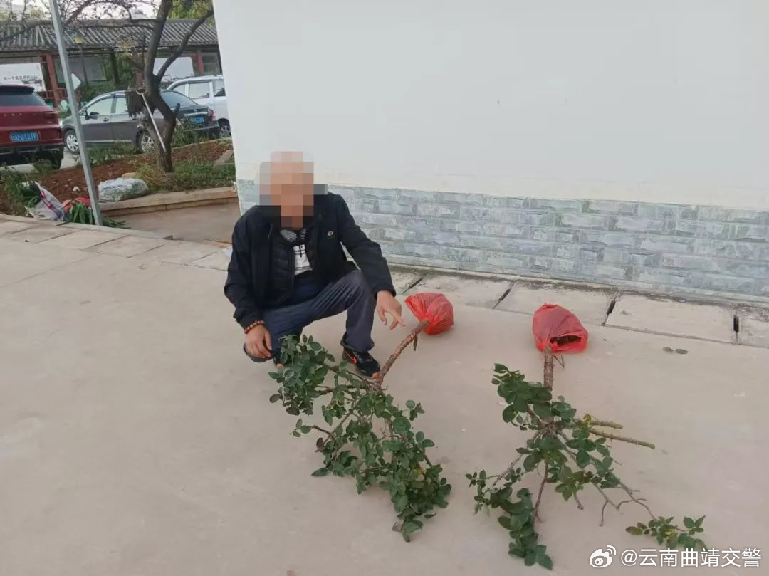 云南曲靖交警