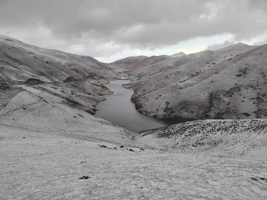 8099999街头巷尾微信