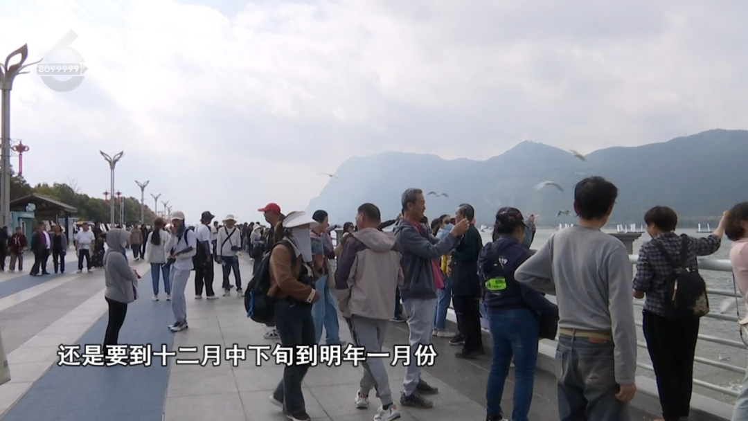 8099999街头巷尾微信