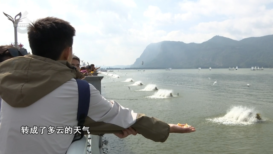 8099999街头巷尾微信