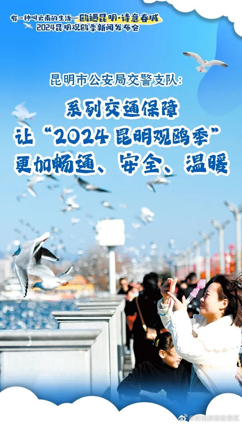 观鸥季开启，海埂大坝周边30余个停车场面向市民开放