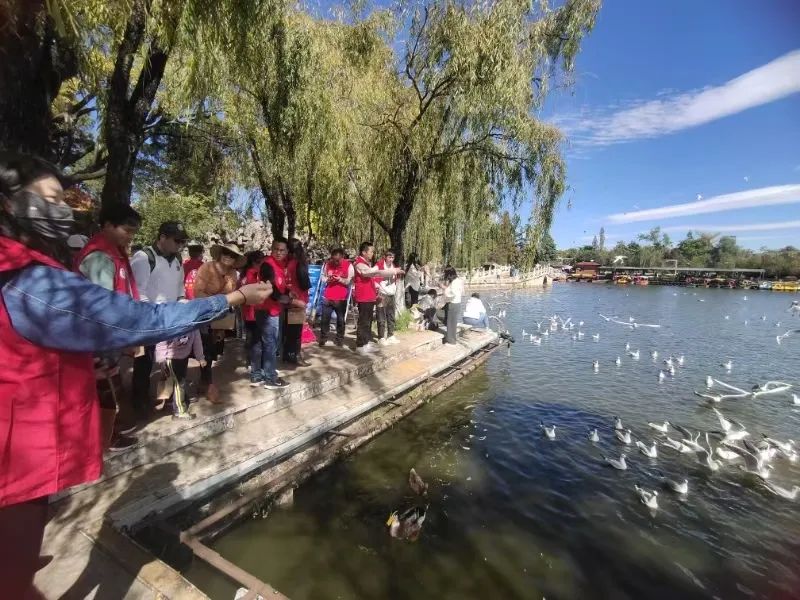 FM954汽车音乐广播