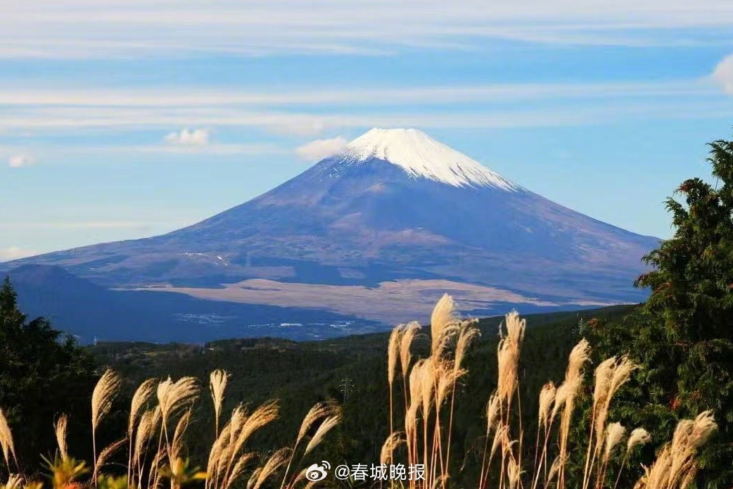 中国对日本等9国单方面免签后日本游客搜索中国热度大涨超1倍