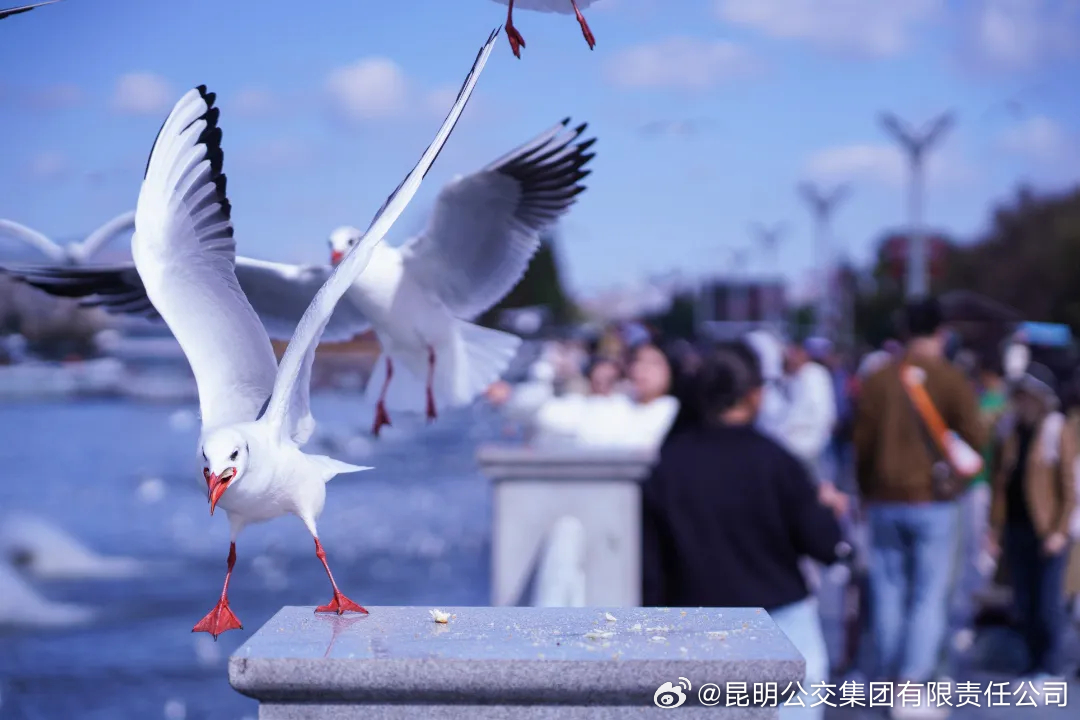 昆明公交集团有限责任公司