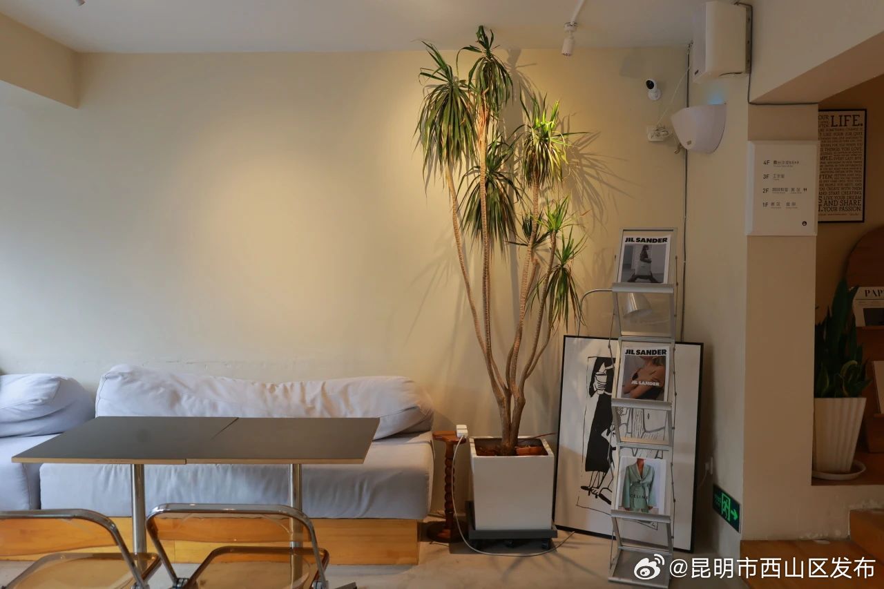 昆明市西山区发布