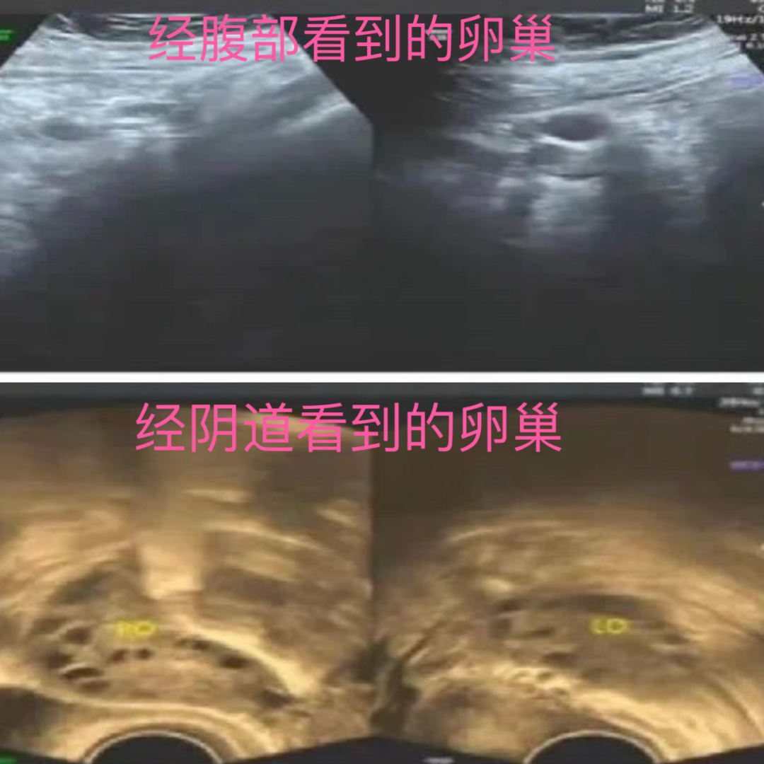 昆明市妇幼保健院