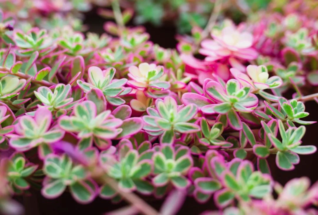 晋宁 诗意的栖居地