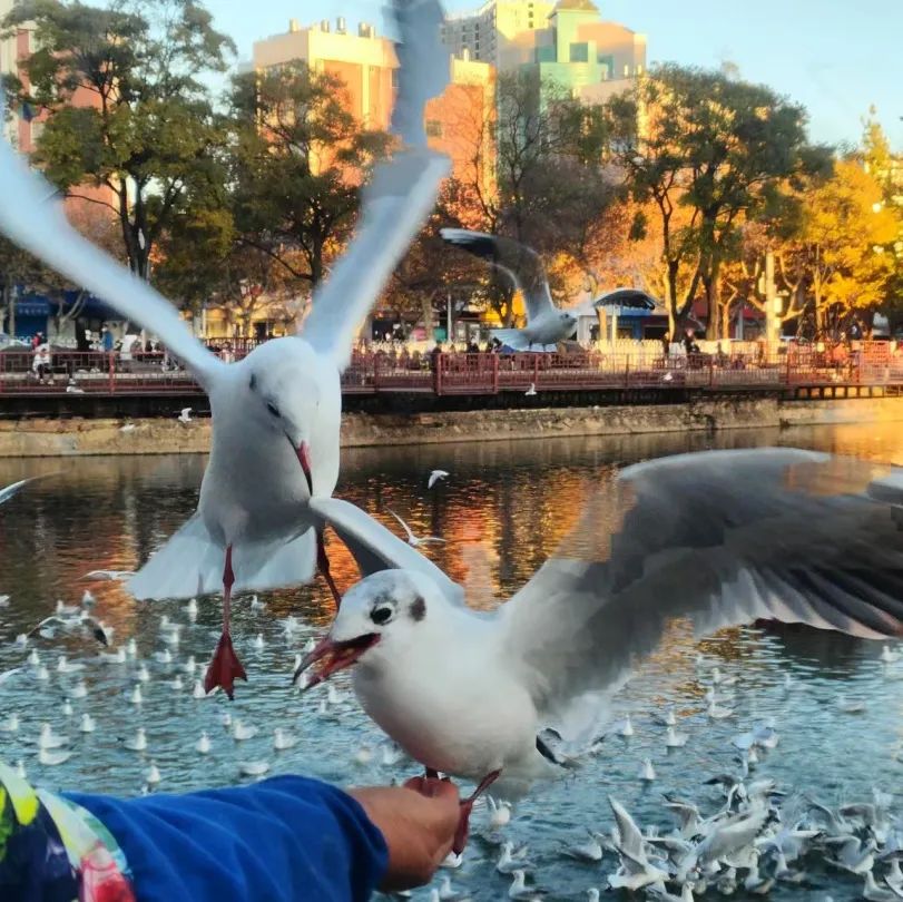 FM954汽车音乐广播