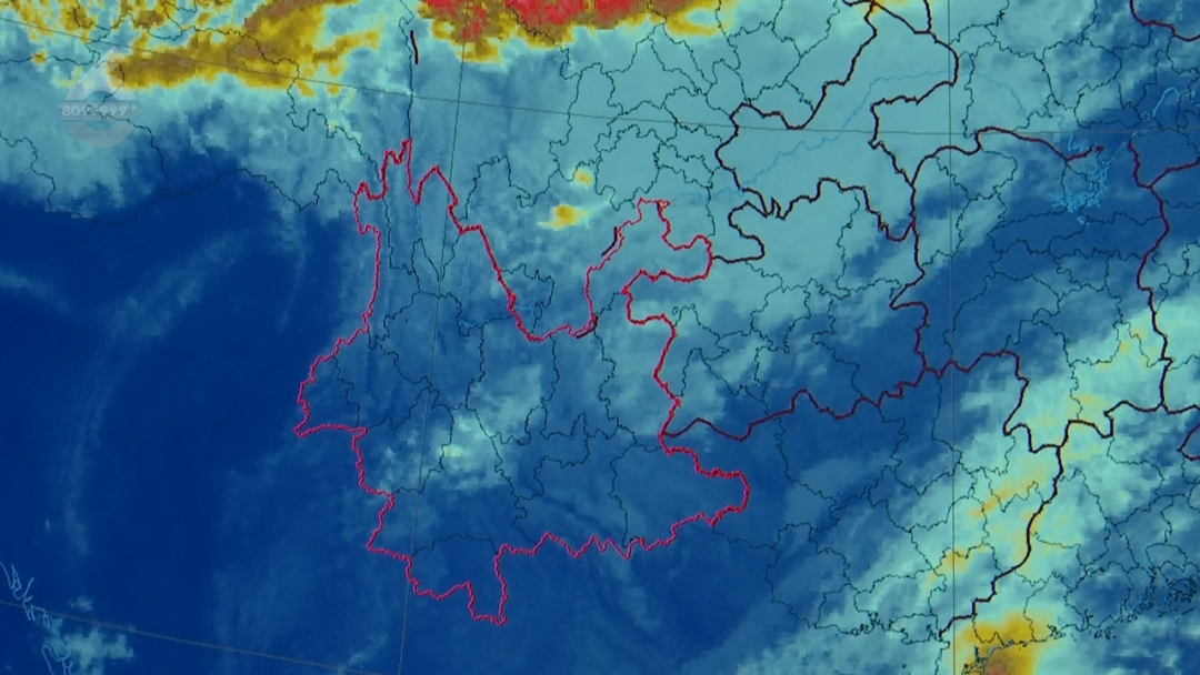 8099999街头巷尾微信