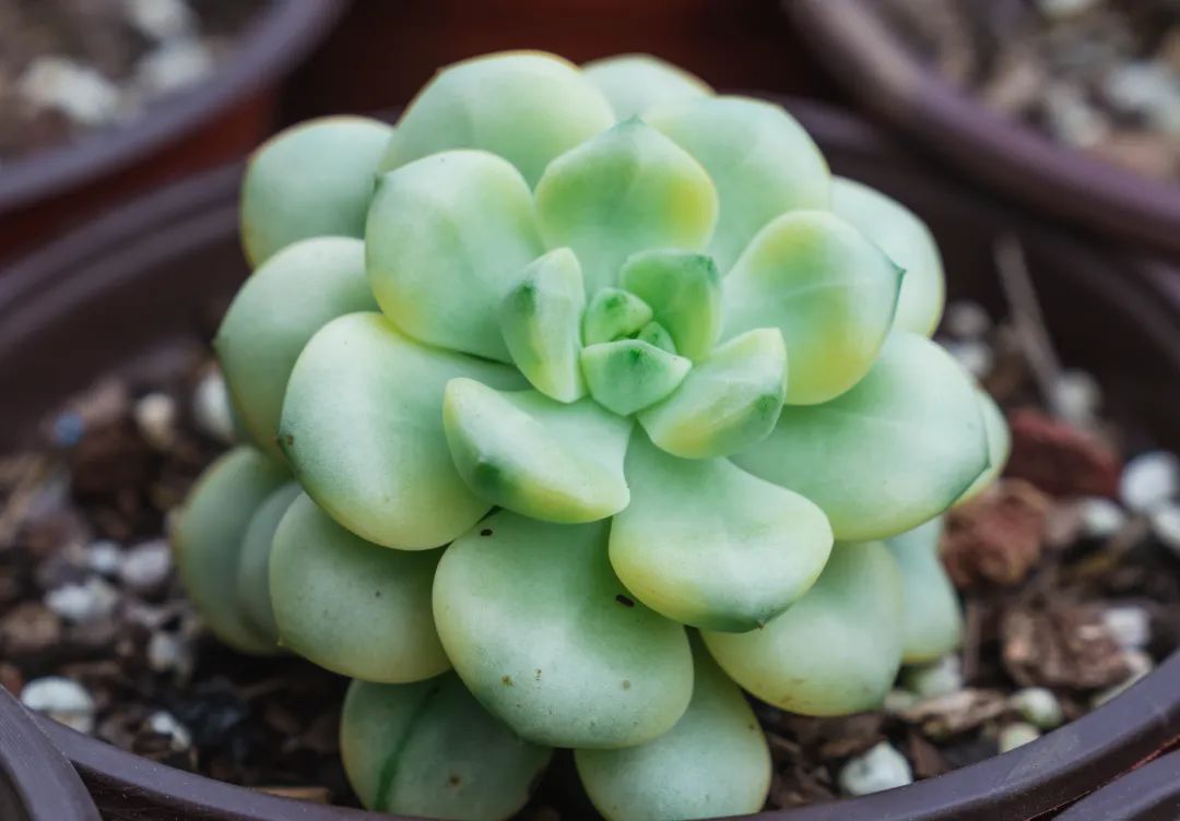 晋宁 诗意的栖居地