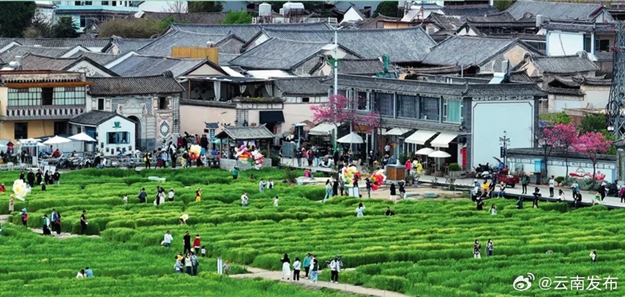 到2027年，云南全省将培育3000个以上乡村旅居重点村