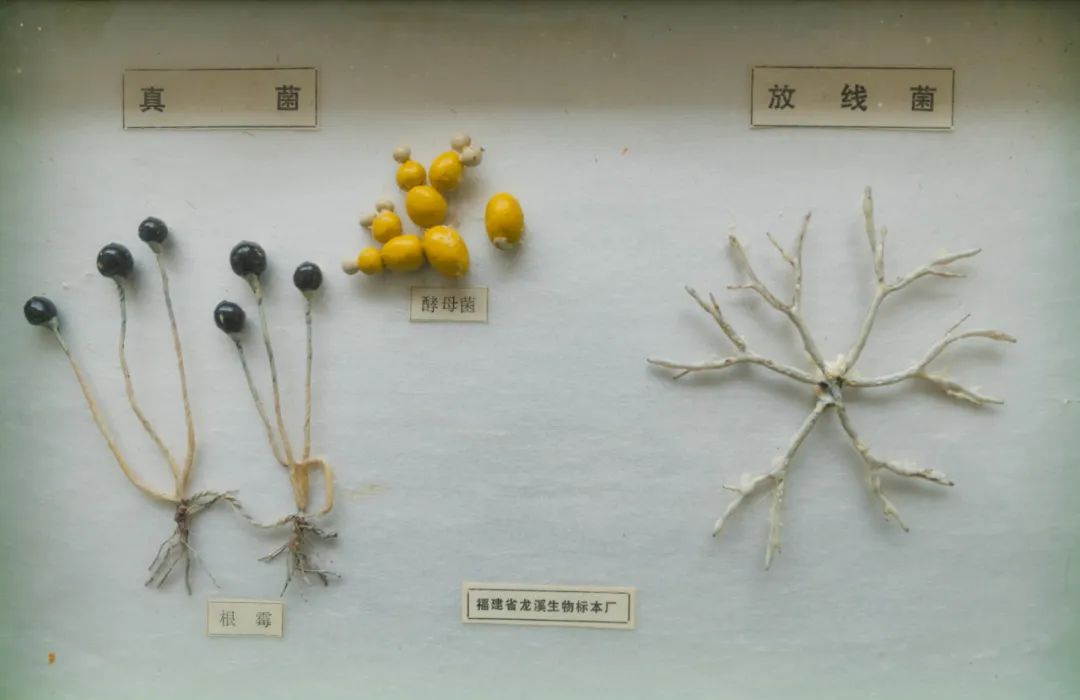 晋宁 诗意的栖居地