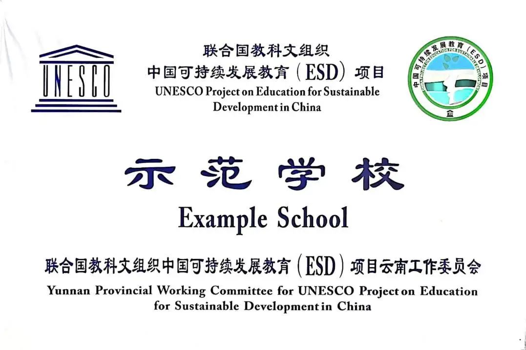 微观盘龙