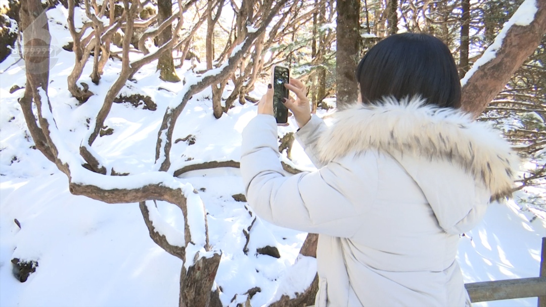 8099999街头巷尾微信