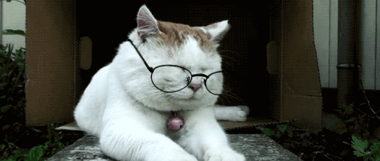 建议眼镜戴一两年就得换