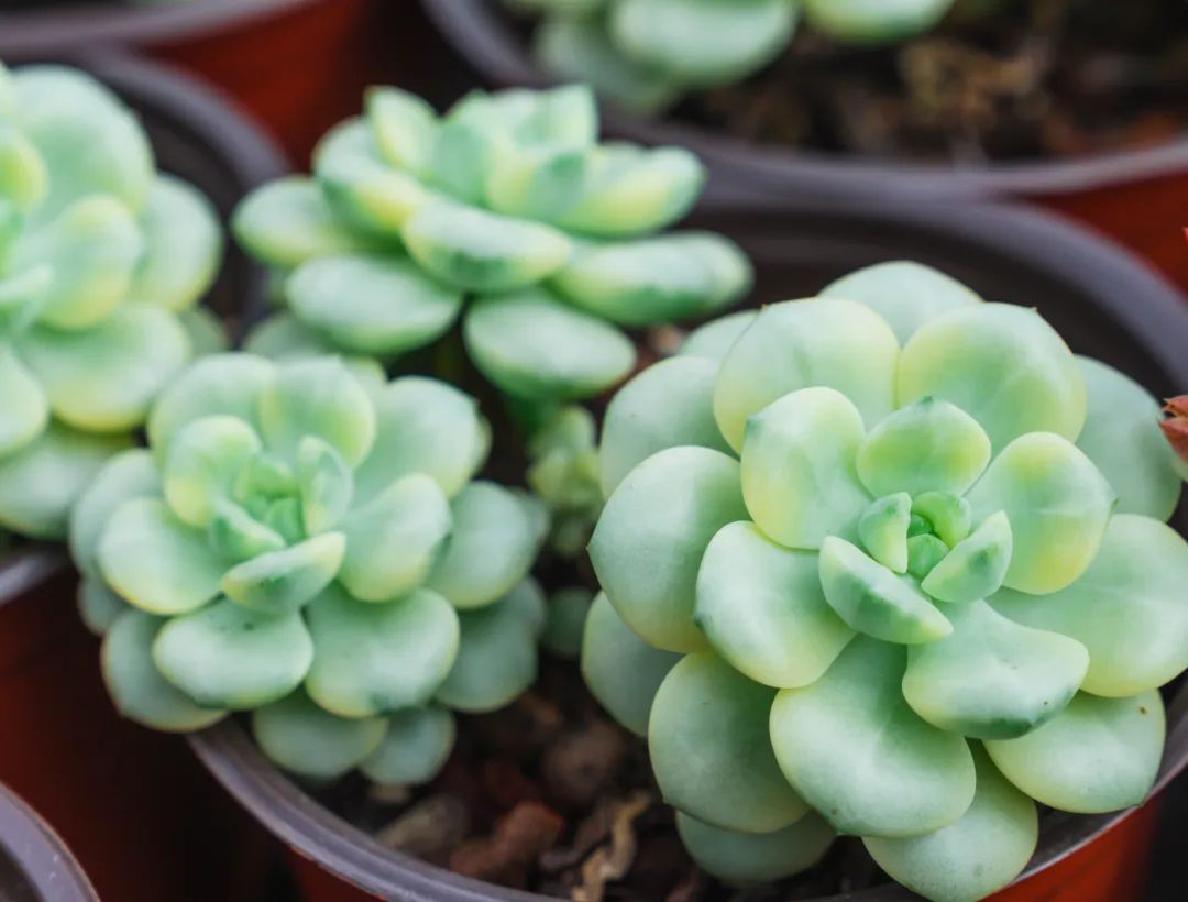 晋宁 诗意的栖居地