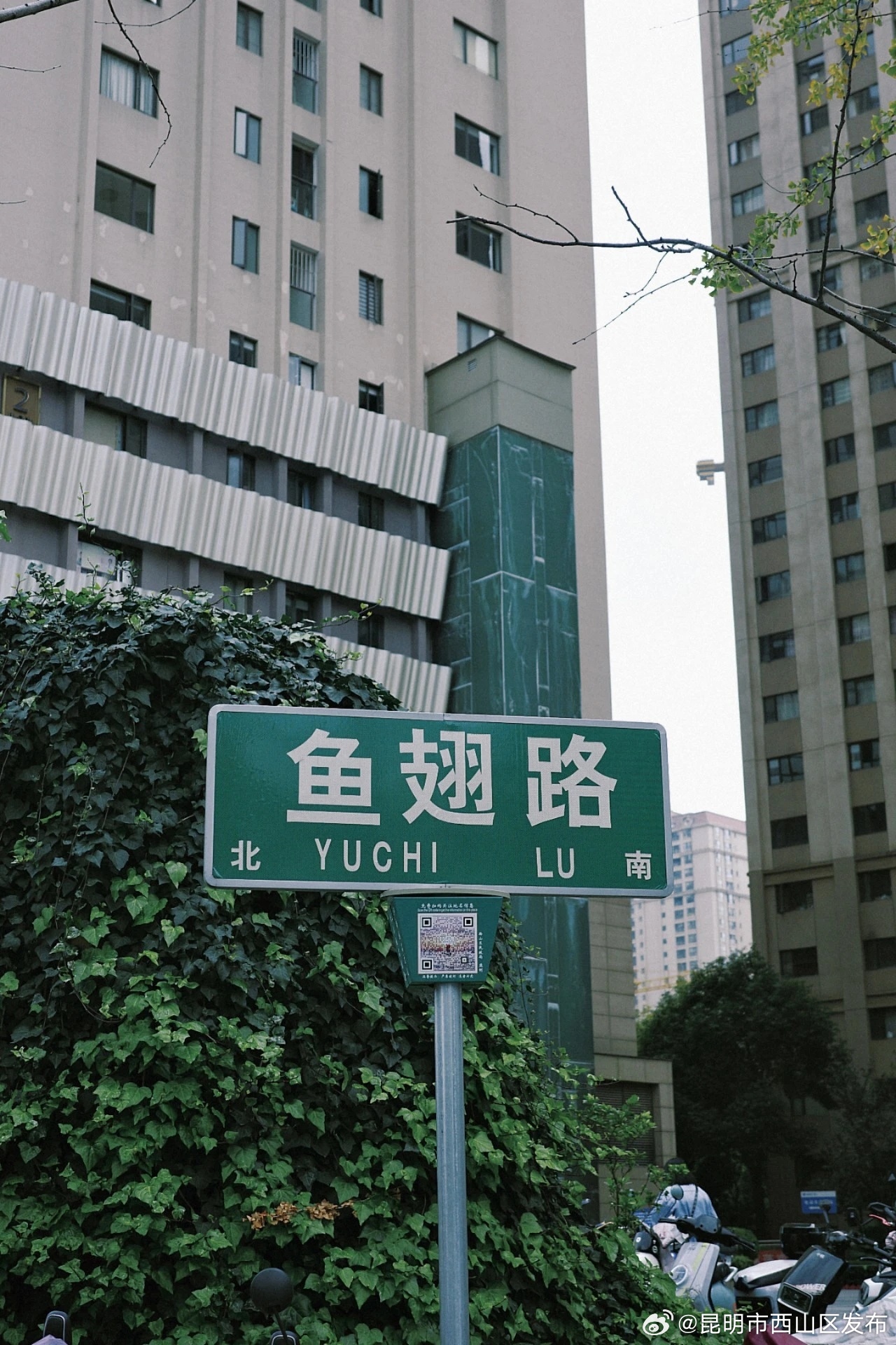 昆明市西山区发布