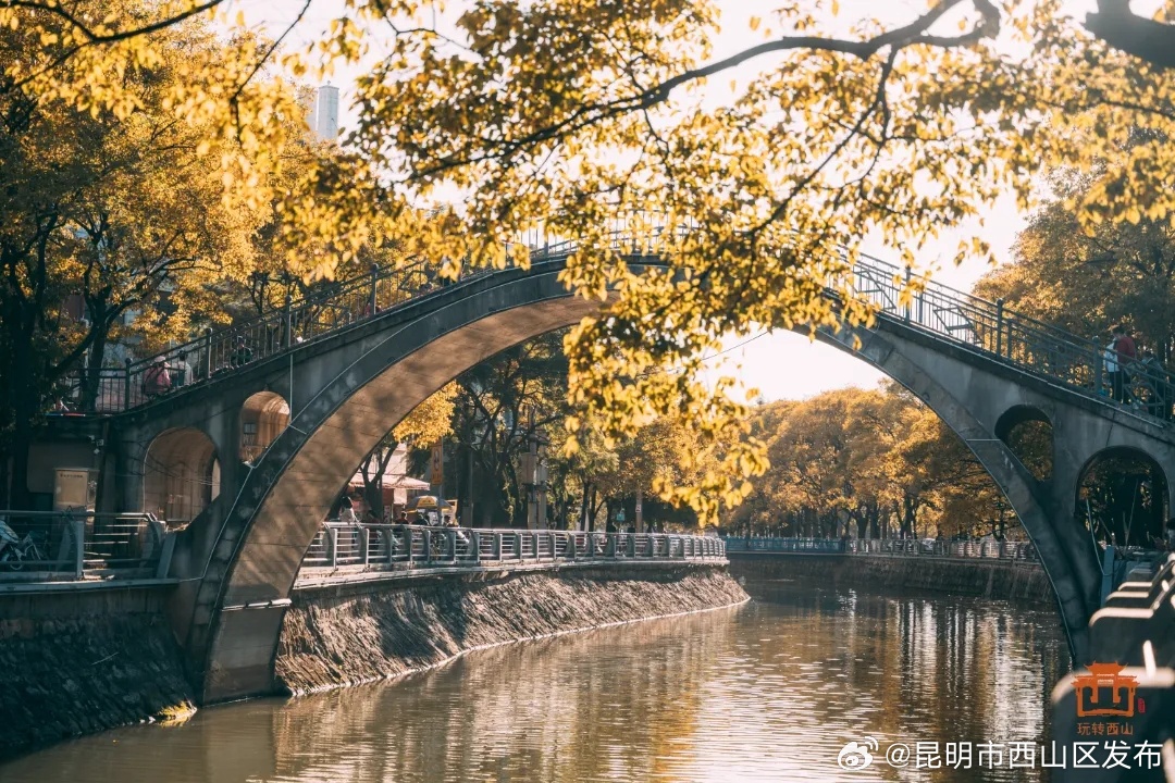 昆明市西山区发布