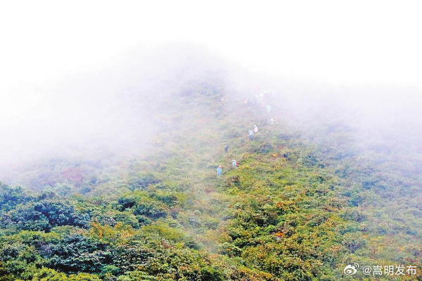 从这里触摸哀牢山