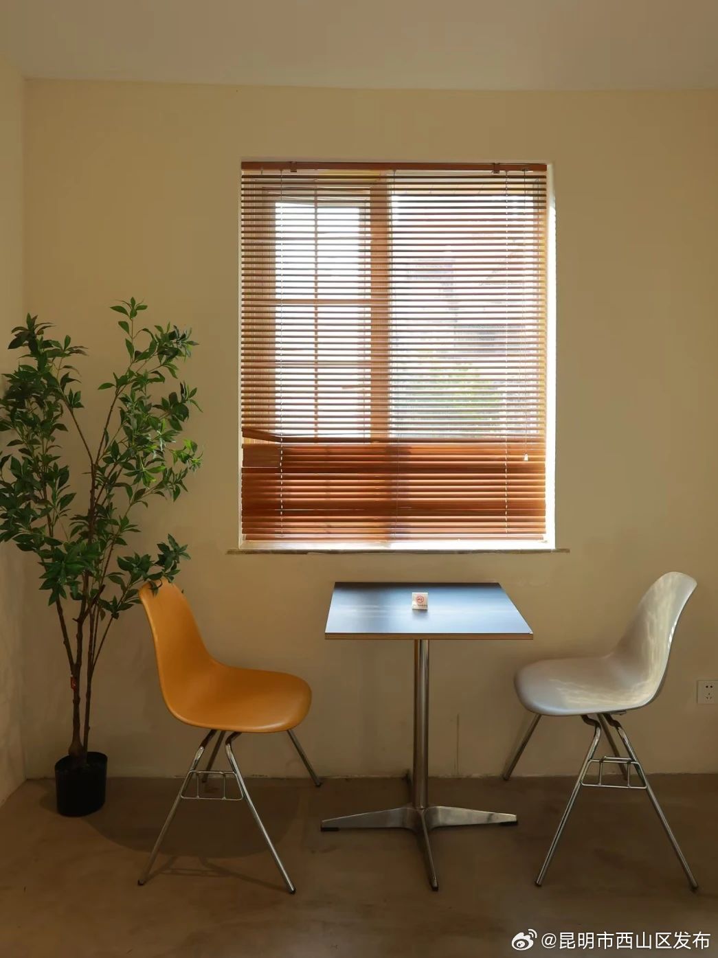 昆明市西山区发布