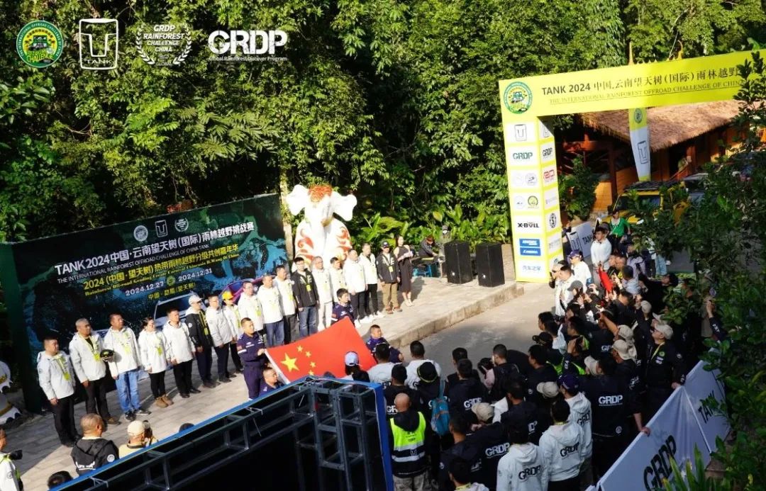 西双版纳望天树景区