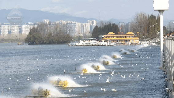 滇池旅游度假区