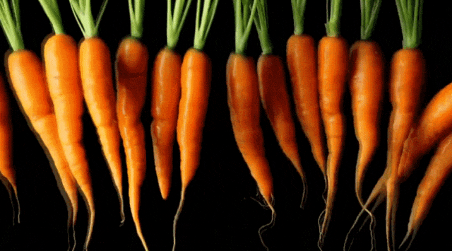 其实胡萝卜不是萝卜 