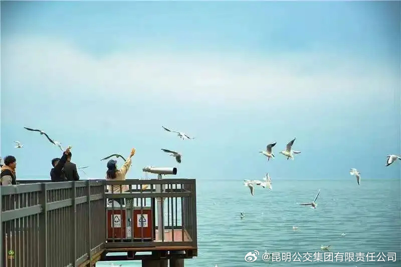 昆明公交集团有限责任公司