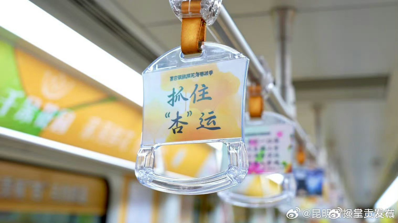 呈贡发布