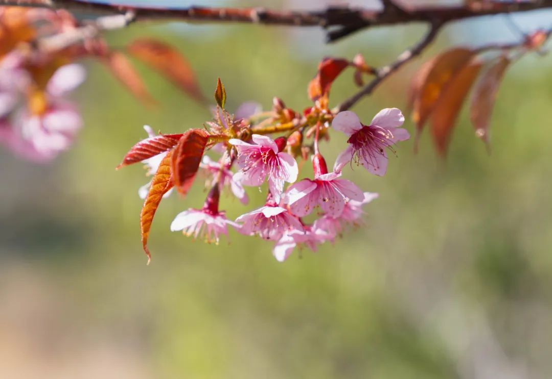 晋宁 诗意的栖居地
