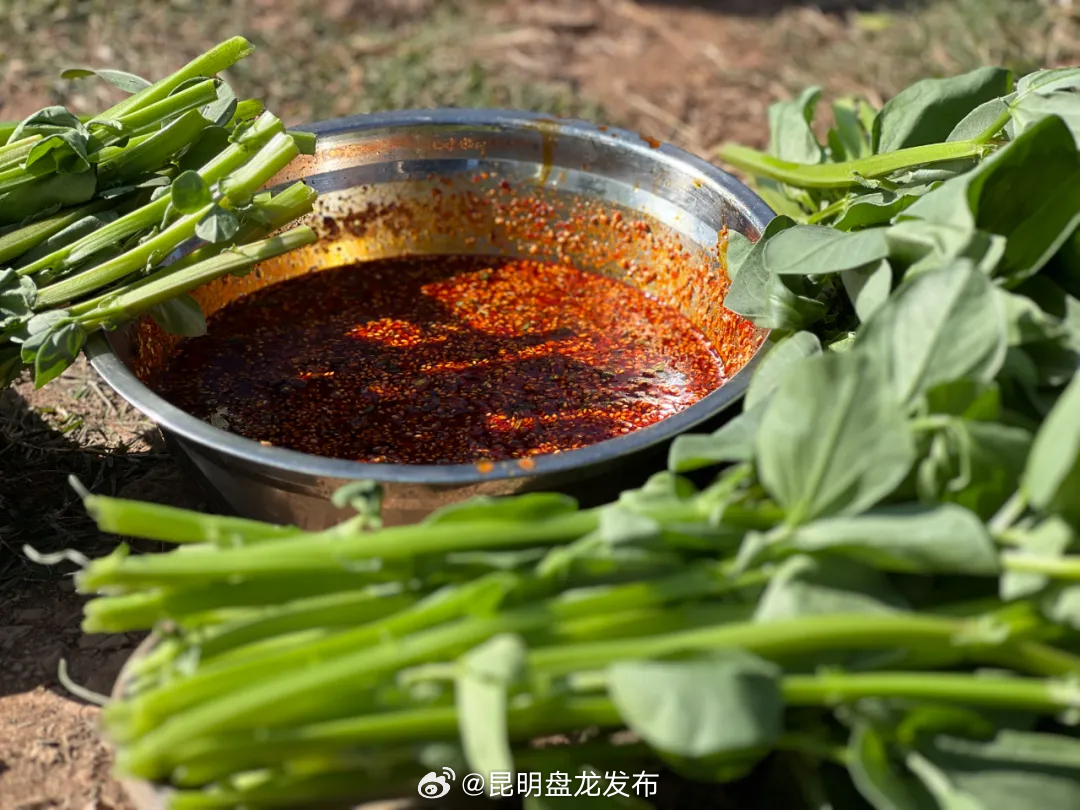 昆明盘龙发布