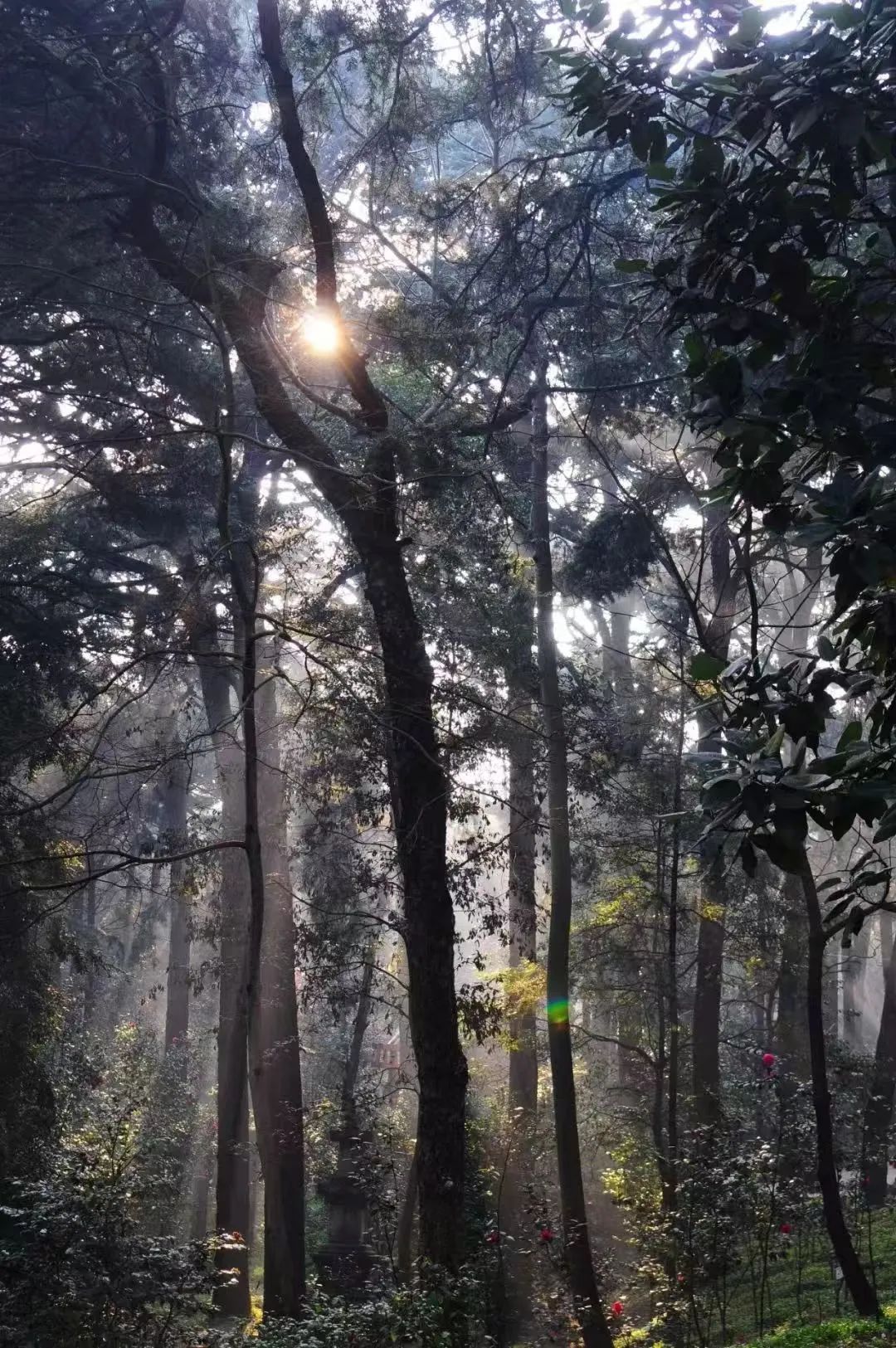 昆明市金殿名胜区