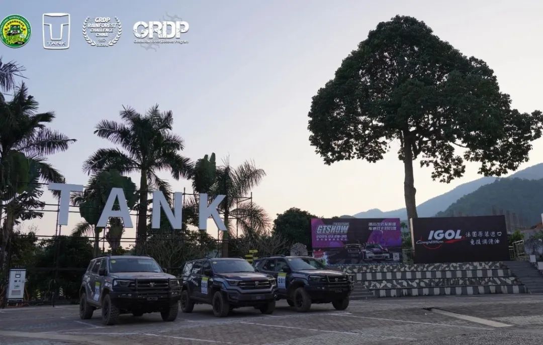 西双版纳望天树景区