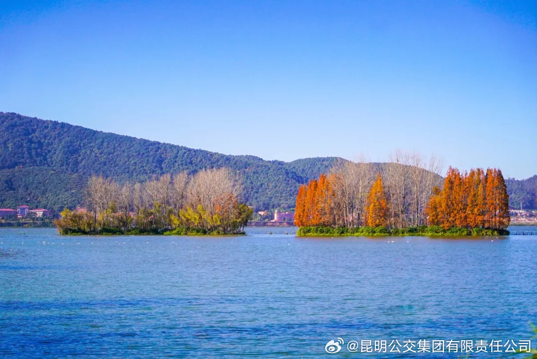 昆明公交集团有限责任公司