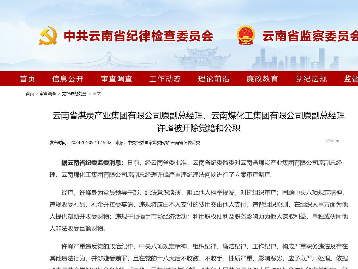 云南省煤炭产业集团有限公司原副总经理、云南煤化工集团有限公司原副总经理许峰被开除党籍和公职