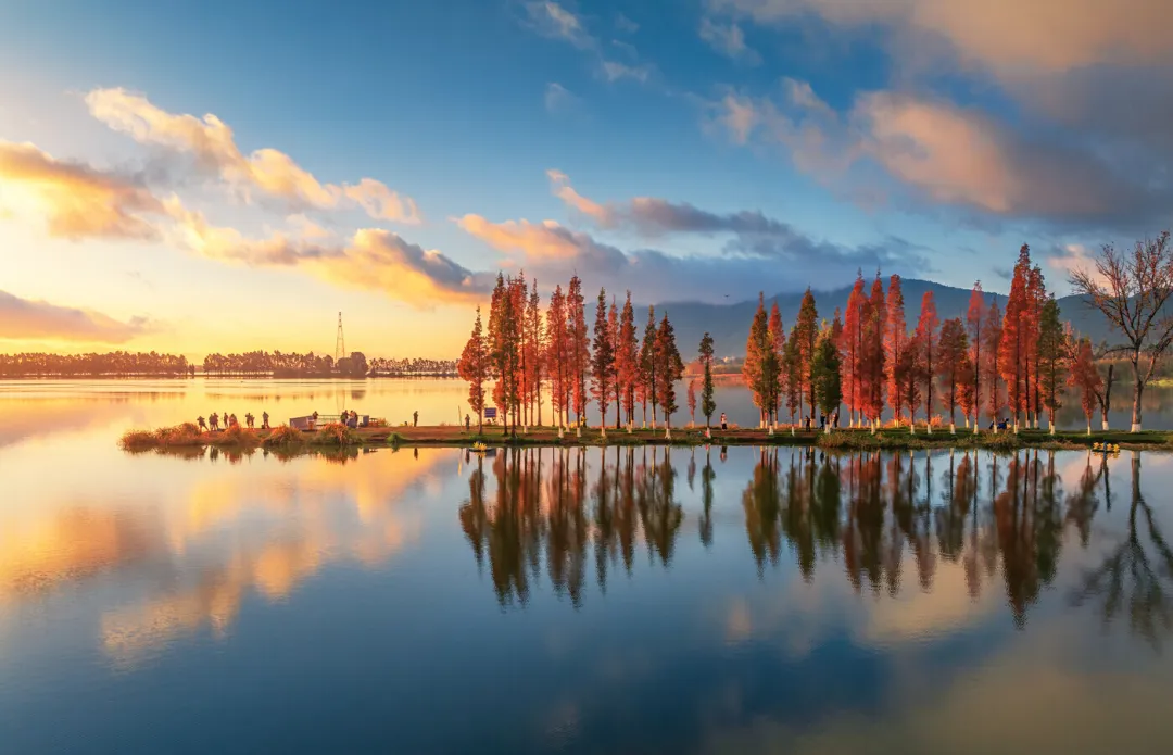 昆明广播电视台经济生活频道